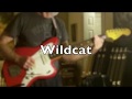 Ventures Tribute: Wildcat