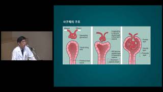 내과 MGR : Kidney Disease in Diabetes: diabetic vs nondiabetic 미리보기