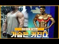 100만뷰 찍을 가슴운동 비기 전수