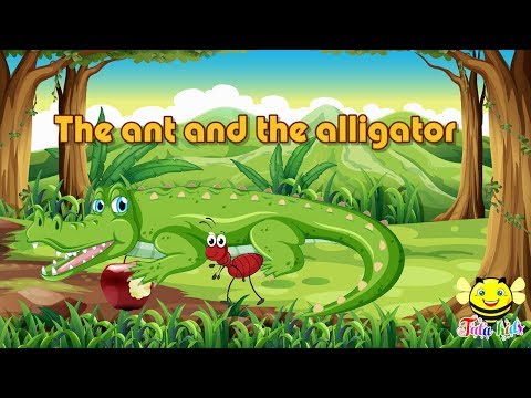 Abcs stories -The story of letter Aa - The ant and the alligator