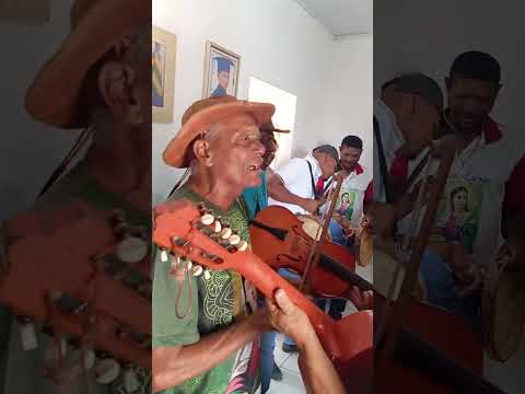 Curraleira-Folioes da Pastoral -Campos Belos -GO -11/10/26
