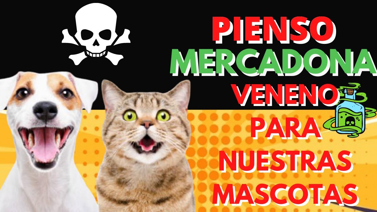 😡 PIENSO MERCADONA COMPY PERROS Y GATOS ,DE LO PEOR DEL MERCADO, NO OS ARREPENTIREIS DE VER EL VIDEO