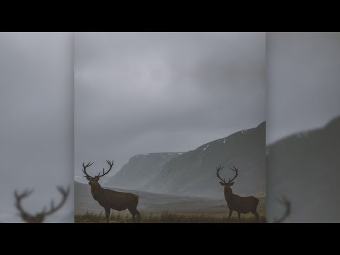 Robert Farrugia - Adrift [Full Album]