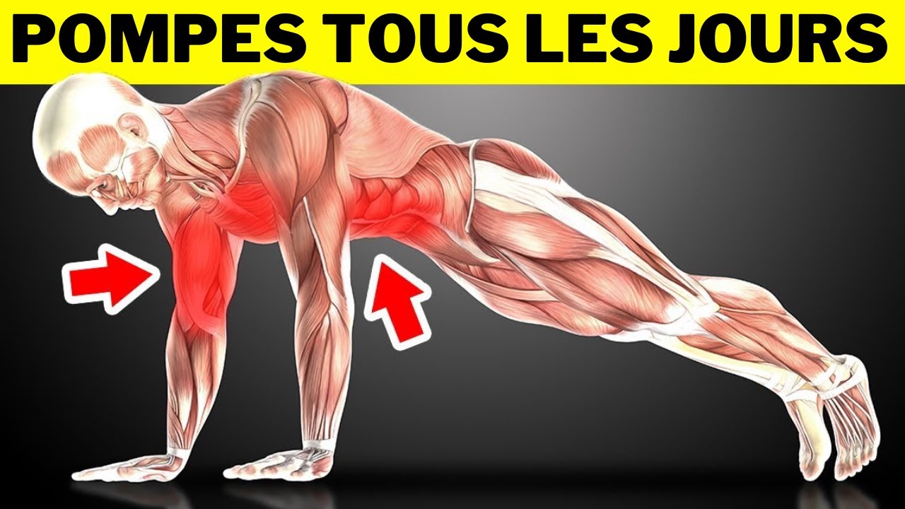 Que se Passera t-il si tu Fais 50 POMPES Par Jour?