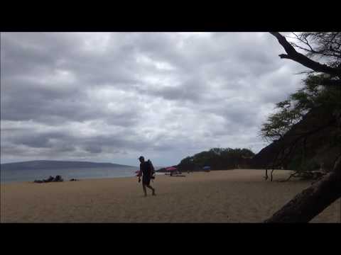 Summer Sampler 2018, Vol. 3 - August 15, 2018