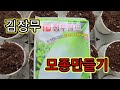 지금 김장무 씨앗 심어서 추석에 먹을수있어요 2023.7.12