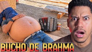 OS VÍDEOS MAIS ENGRAÇADOS DE SETEMBRO PRA RIR - TENTE NÃO RIR - MELHORES MOMENTOS