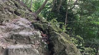 ぐーにーアルティメットダイエット・大山ランニング！！