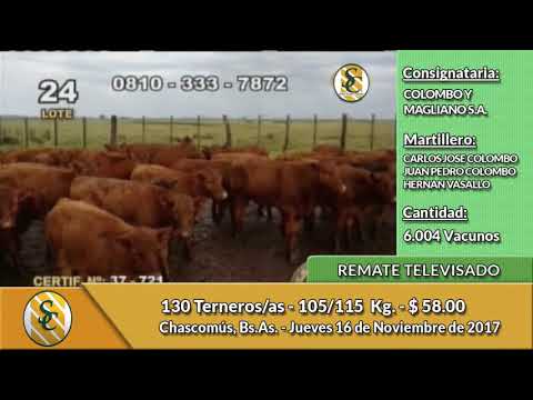 16-11-17 - Remate Televisado de Colombo y Magliano S.A. - Chascomús