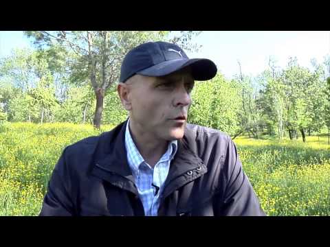 Fisi I Faunes - Episodi 3