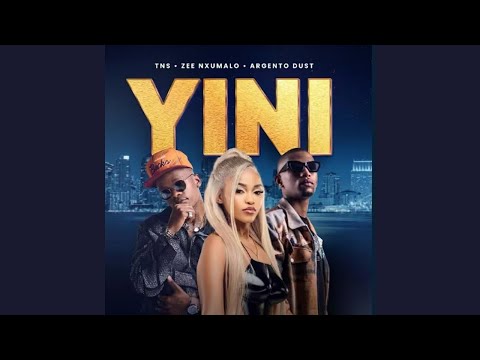TNS, Zee Numalo & Argento Dust - Yini (Official Audio)