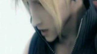 Tiger Lily-Matchbooks Romance