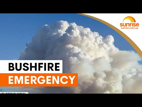Victoria's bushfire emergency continues with 12 major fires | Sunrise