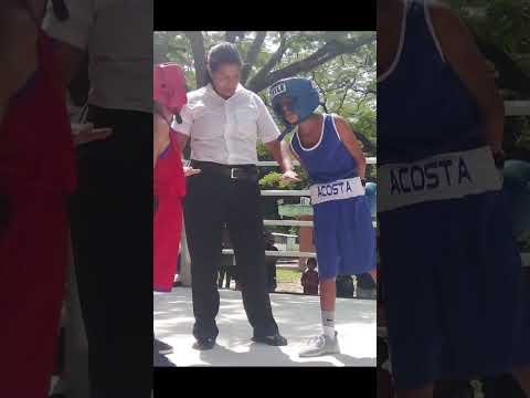 Encuentro boxístico forja el futuro del deporte en Aragua se llevó a cabo en el P. Santos Michelena