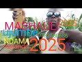 2025 Nyanda Mashauli Kichaaa 0782580686 2025 01 30