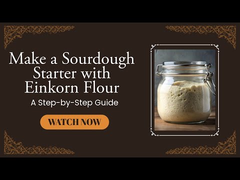 How to Make a Sourdough Starter with Einkorn Flour (Step-by-Step Guide)