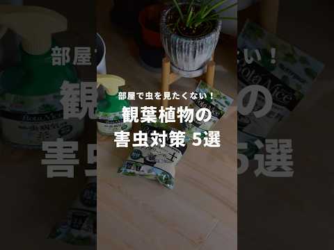 黒くなった植物の対処法は？美しい緑の葉を作るための4つの解決策!  庭園