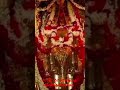 Darshan Of Amba Maa 10 Dec 22 Saturday Morning Status Shorts Dailydarshan