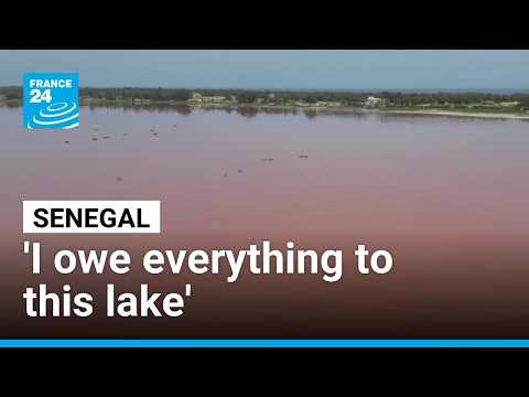 Crucial salt trade revives as Pink Lake slowly recovers from floods