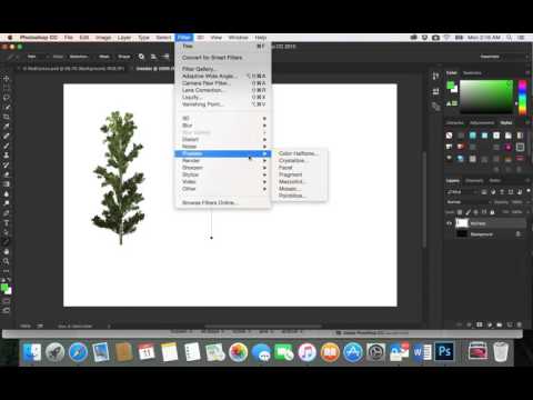 &#x202a;40-Adobe PhotoShop CC| Trees sizes&#x202c;&rlm;