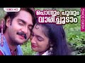 പൊന്നും പൂവും വാരിച്ചൂടാം Ponnum Poovum Vaari Coodam V