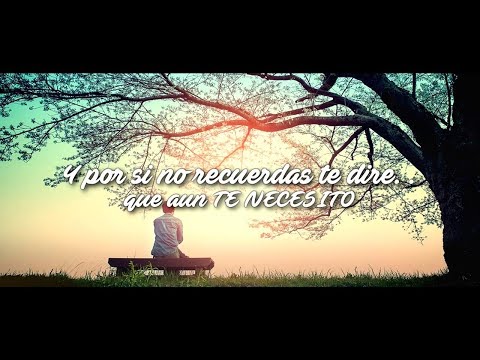 Banda Los Sebastianes - Por Si No Recuerdas [Letra]