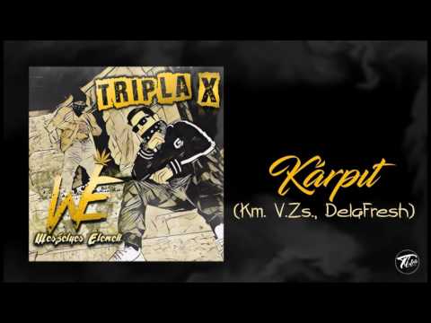 Weszélyes Elemek Km. VZS - Kárpit