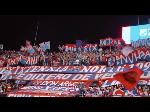 "Medallo, La Norte ya llegó" Barra: Rexixtenxia Norte &bull; Club: Independiente Medellín