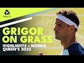 Grigor Dimitrov Brilliant Grass-Court Tennis vs Norrie | Queen's 2022 Highlights