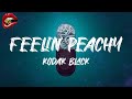 Kodak Black Feelin Peachy Lyrics