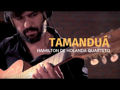 HARMONIZE | TAMANDUÁ | HAMILTON DE HOLANDA QUARTETO