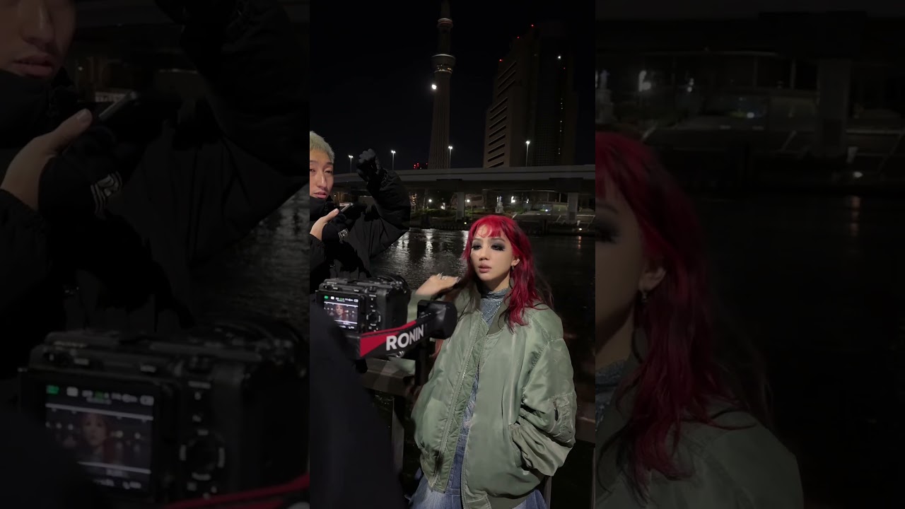 NIRVĀṆA #jrock #mathrock #newmusic #新曲 #星熊南巫