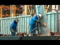 Documentary Technology - MegaStructures - Queen Mary 2
