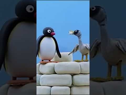 Feeding the Animals! 🐧 #Pingu - Kids (0-4), Kingdom Kids Zone, Shorts - Pingu - Official Channel