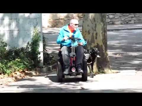 Ashanthi überquert mit Andy die Straße und drückt die Ampel