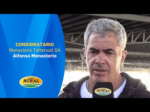 Alfonso Monasterio | Monasterio Tattersall SA | 23/12/25 | MV