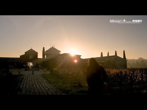 2e séminaire de recherche du Plan Dépérissement du Vignoble