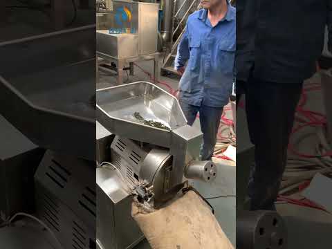 Undaria Pinnatifida Extract Powder