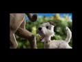 McDonalds Hotel For Dogs 2009