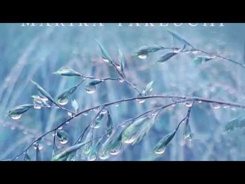 Rain Stories Album Teaser