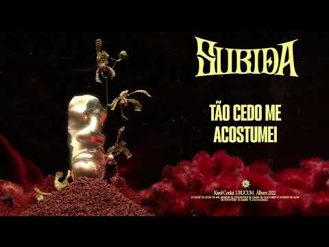 Karol Conká - Subida (Lyric Video)