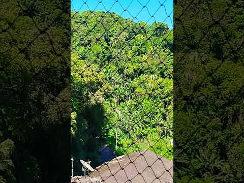 #saovicente #nature #saopaulo #turismo