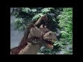 The Muppet Show 408 Arlo Guthrie Stopping By Woods On A Snowy Evening 1979