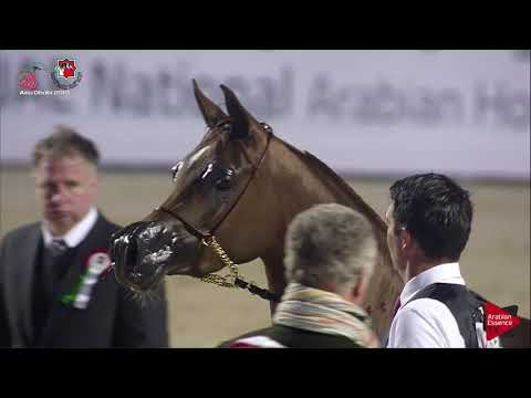 N 213 D KHATTAFAH   UAE Nationals 2019