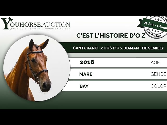 C’est L'Histoire D'O @ show