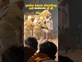 Gadar 2 Trailer Gadar Movie Gadar 2 Movie Gadar Ek Prem Katha Gadar2 Gadar2trailer Newmovie