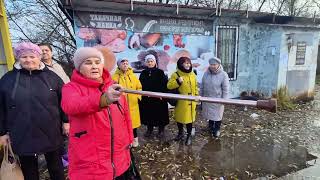 Как замена остановки в «Озерках» обернулась головной болью для жителей