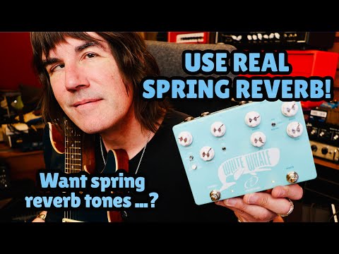 Crazy Tube Circuits White Whale V2 Analog Spring Reverb / Tremolo 60's Fender *AUTHORIZED DEALER image 4