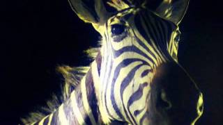 the Burning of Rome - Cowboy Death-pop Star