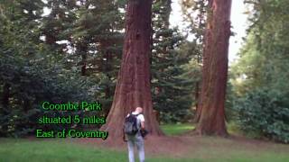 preview picture of video 'The Redwoods of Coombe Abbey Country Park 2010'